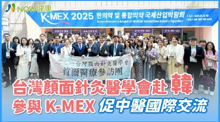 台灣顏面針灸醫學會赴韓參加K-MEX 促中醫國際交流