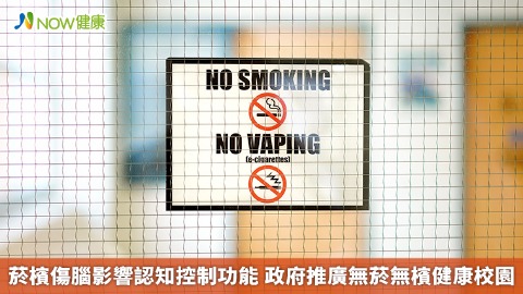 菸檳傷腦影響認知控制功能 政府推廣無菸無檳健康校園 