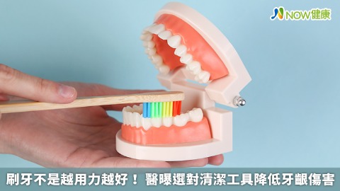 刷牙不是越用力越好！ 醫曝選對清潔工具降低牙齦傷害